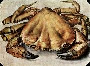 Albrecht Durer Lobster oil painting on canvas